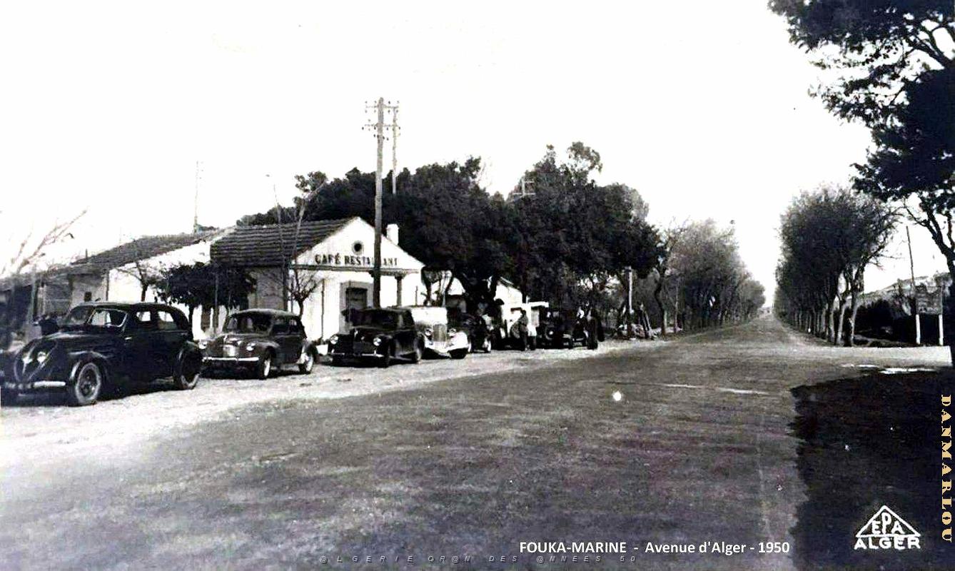 Fouka-Marine - Avenue d'Alger - 1950.jpg